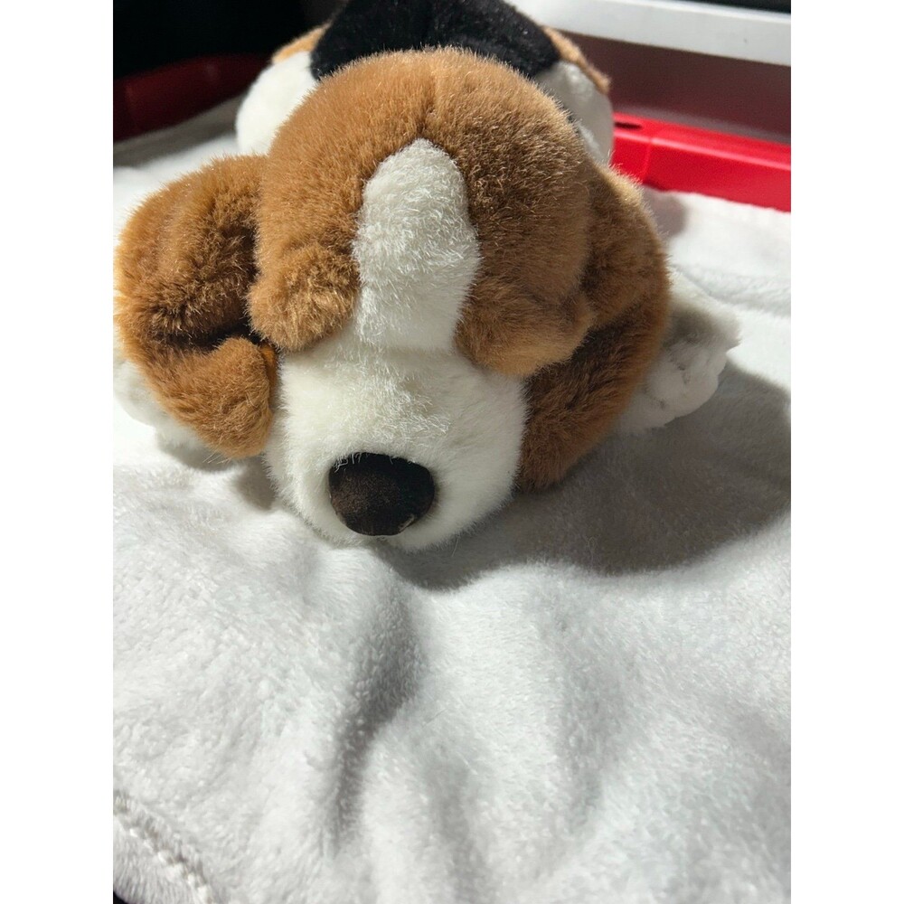 Buckets the beagle